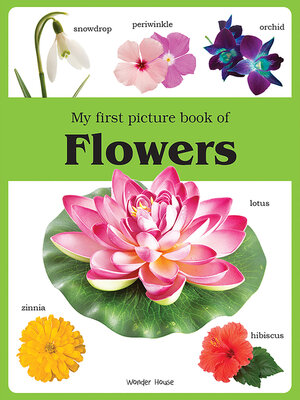 cover image of My First Picture Book of Flowers